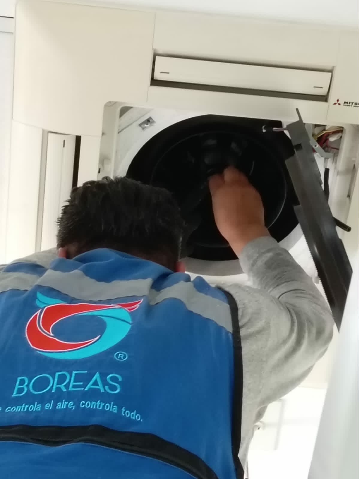 Ingeniería Boreas
